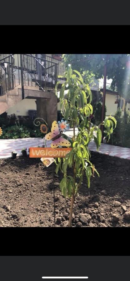Vila Vlad Două Mai Exteriör bild